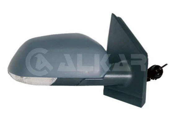 Exterior Mirror (6110111)