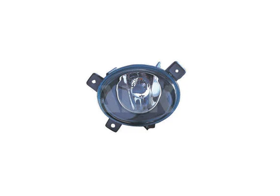 Front Fog Light (2902725)