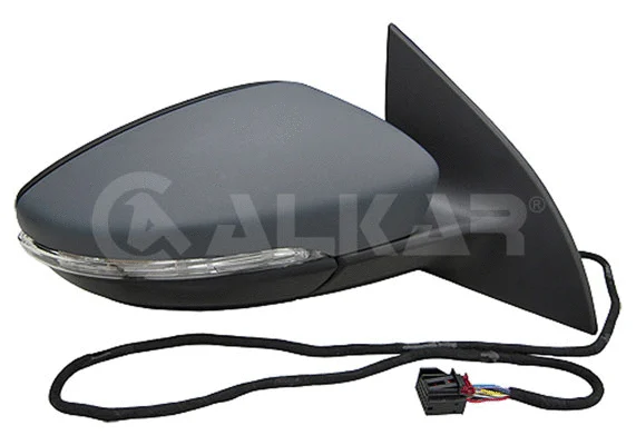 Exterior Mirror (6144133)