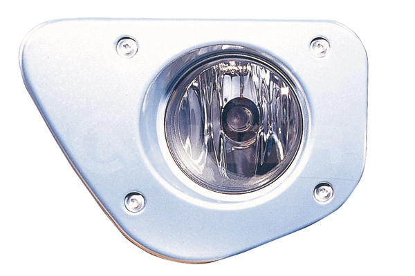 Front Fog Light (2905265)