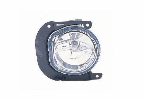 Front Fog Light (2902351)
