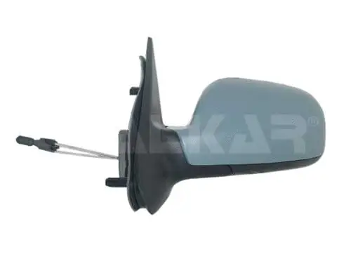 Exterior Mirror (6101365)