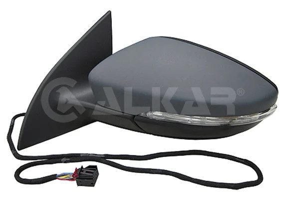 Exterior Mirror (6143133)