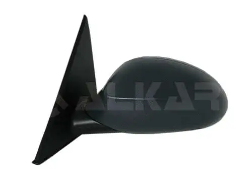 Exterior Mirror (6101843)