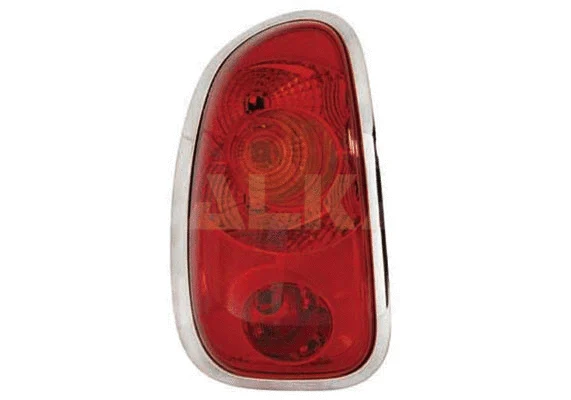 Tail Light Assembly (2211454)
