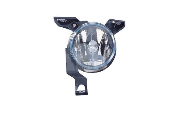 Front Fog Light (2909128)