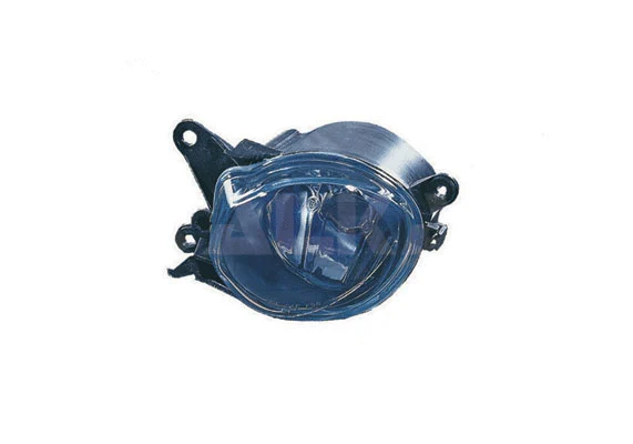 Front Fog Light (2905505)