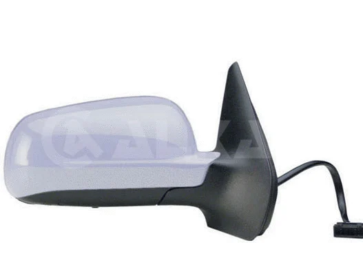 Exterior Mirror (6141127)