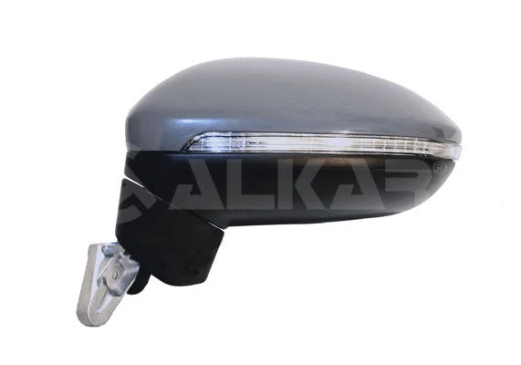 Exterior Mirror (9039189)
