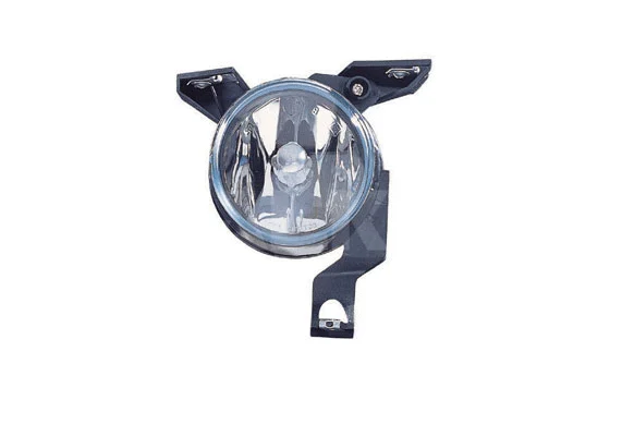Front Fog Light (2910128)
