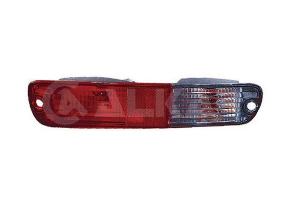 Tail Light Assembly (2206020)