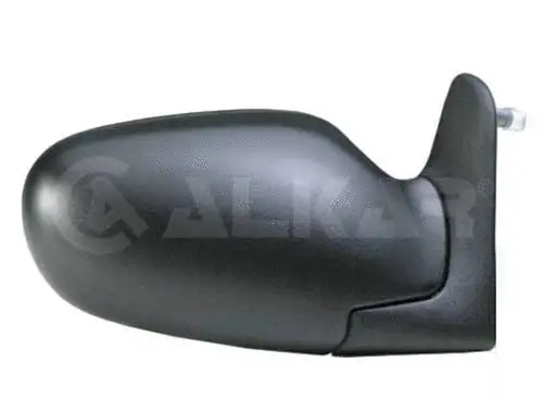 Exterior Mirror (6140131)