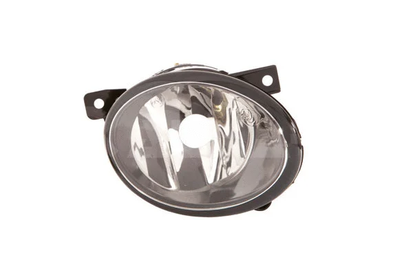 Front Fog Light (2902985)