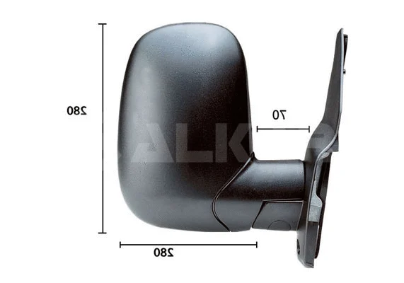 Exterior Mirror (9202959)