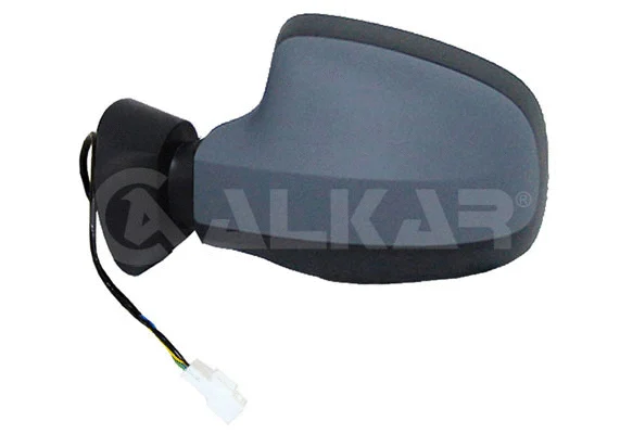 Exterior Mirror (6139594)