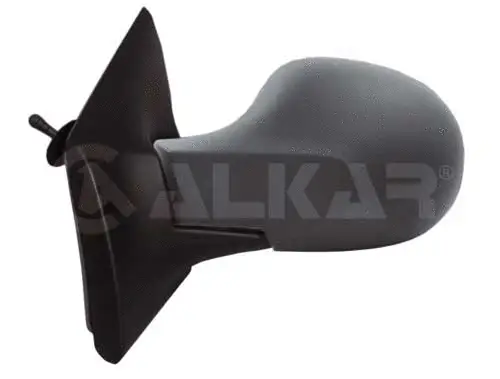 Exterior Mirror (6137171)