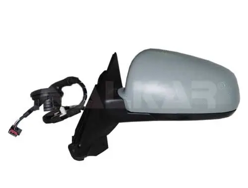 Exterior Mirror (6155500)