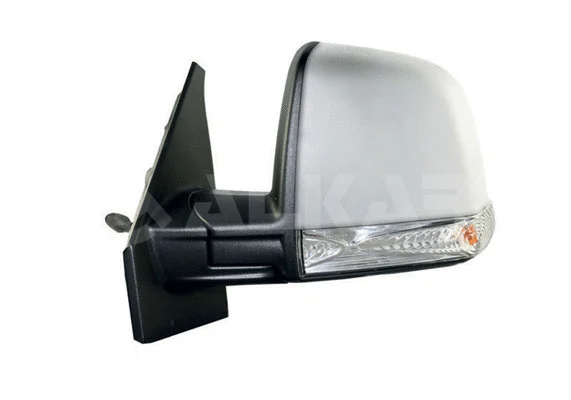 Exterior Mirror (9239838)