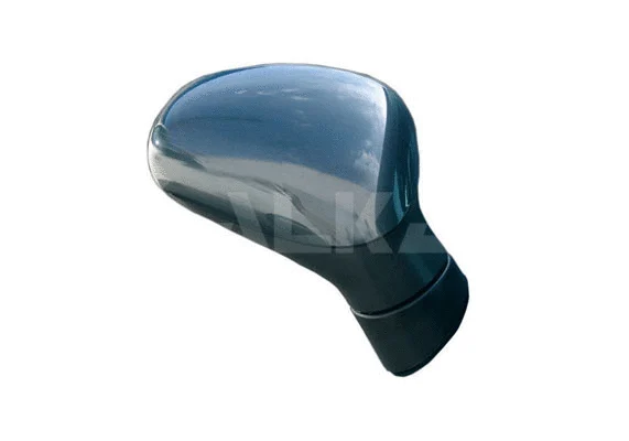 Exterior Mirror (6130095)