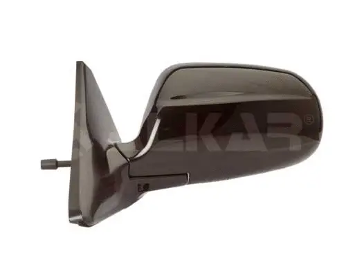 Exterior Mirror (6164407)