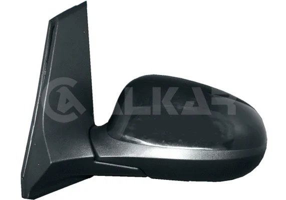 Exterior Mirror (6125403)