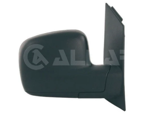 Exterior Mirror (9202154)