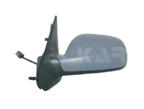 Exterior Mirror (6111365)