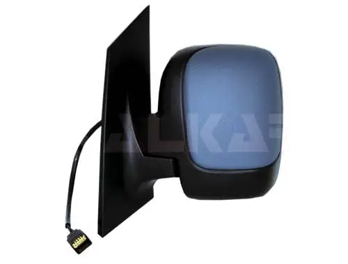 Exterior Mirror (9239955)