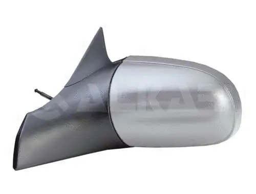 Exterior Mirror (6167417)