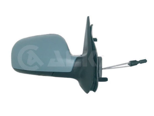 Exterior Mirror (6102365)