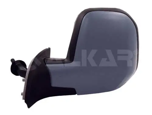Exterior Mirror (9237998)