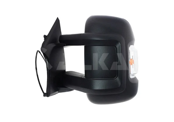 Exterior Mirror (9231922)