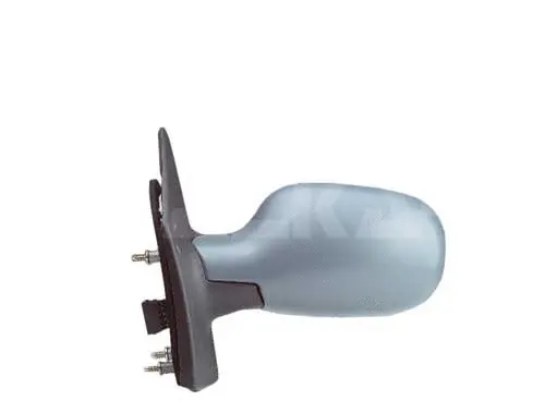 Exterior Mirror (6140220)