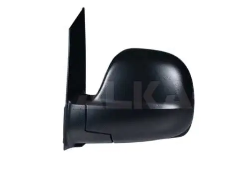 Exterior Mirror (9231969)