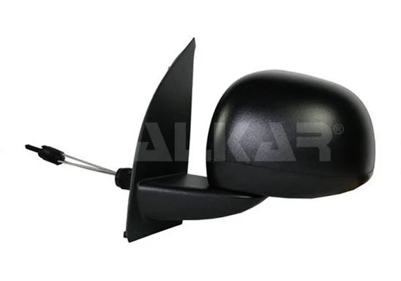 Exterior Mirror (6137934)