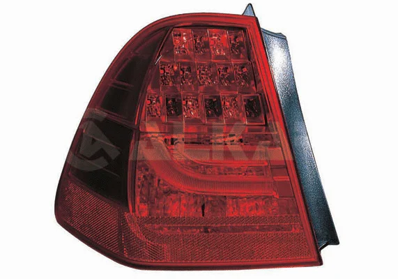 Tail Light Assembly (2221836)