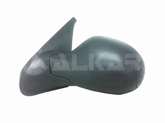 Exterior Mirror (6137179)