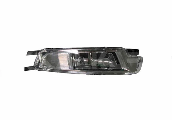 Front Fog Light (2955118)