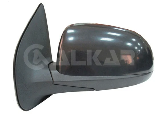 Exterior Mirror (6139618)