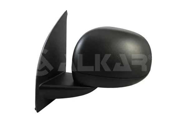 Exterior Mirror (6141924)