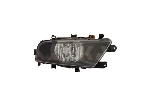 Front Fog Light (2932521)