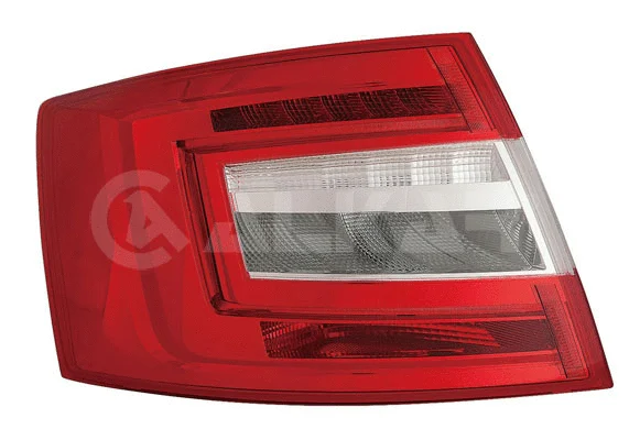Tail Light Assembly (2221569)