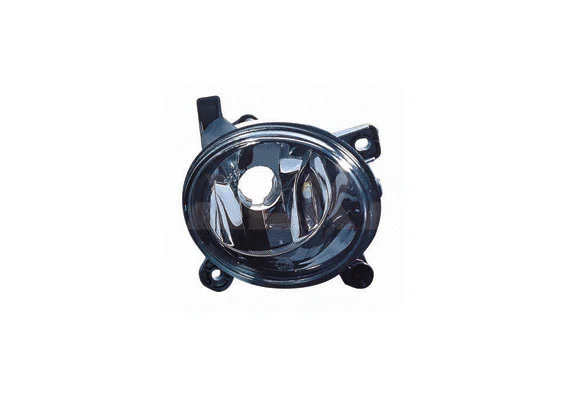 Front Fog Light (2902479)