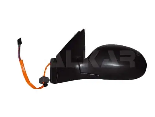 Exterior Mirror (6125852)