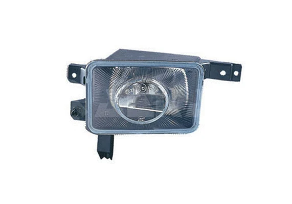 Front Fog Light (2901420)
