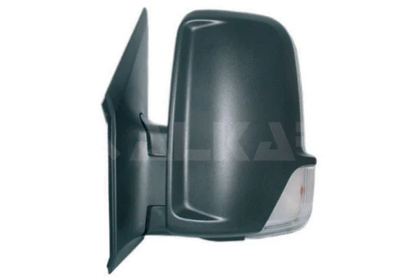 Exterior Mirror (9231994)