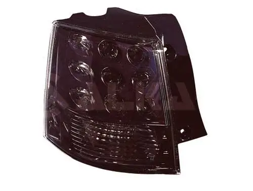 Tail Light Assembly (2202025)
