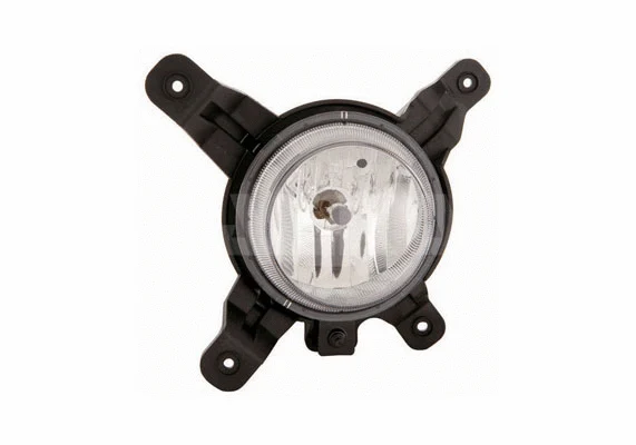 Front Fog Light (2902582)