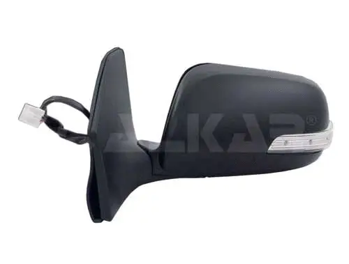Exterior Mirror (6140266)