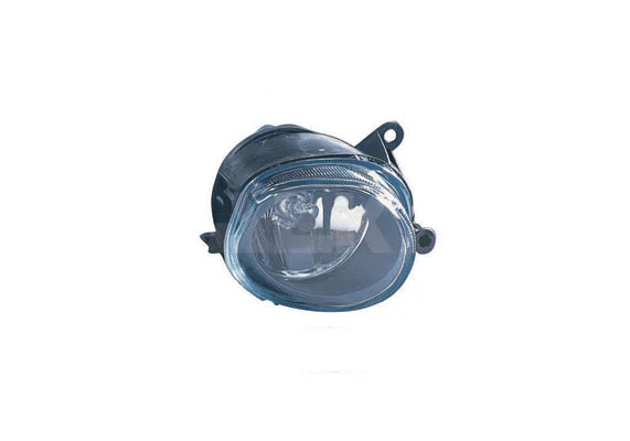 Front Fog Light (2910500)